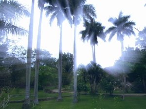 Valladolid Yucatan