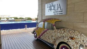 Live Aqua Playa del Carmen