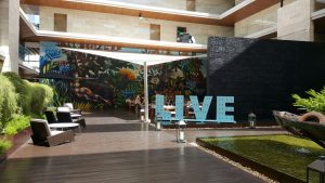 Live Aqua Playa del Carmen