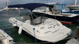 searay snorkeling