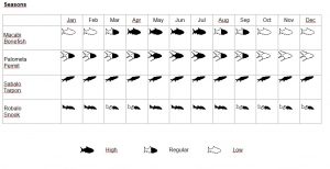 Fly fishing season