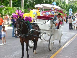 Merida paseo zocalo