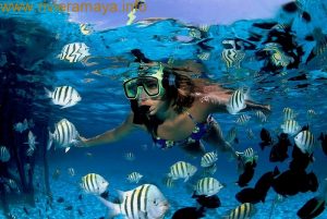 snorkel-riviera-maya