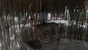 Mayan hut