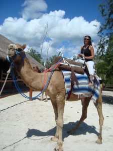 Maroma Camel safari