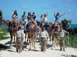 Maroma Camel safari