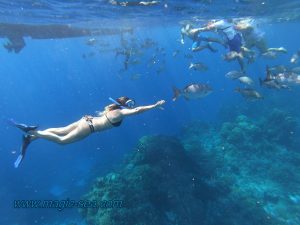 reff snorkel