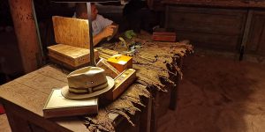 Punta Venado Cigars