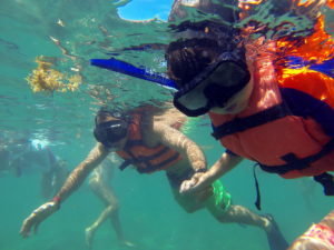 Akumal Turtles
