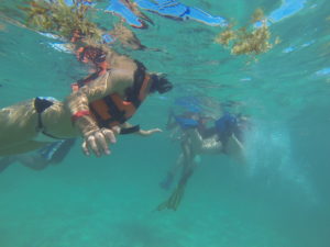 Akumal Turtles