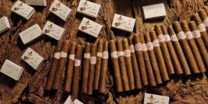 Playa del Carmen Cigar Roller