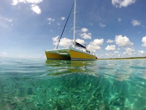 Catamaran fror groups