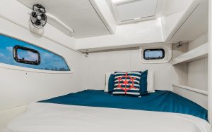 Private Charter Leopard Catamaran Tulum