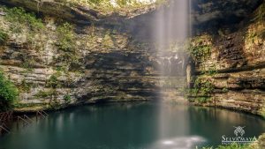 cenote valladolid selva maya