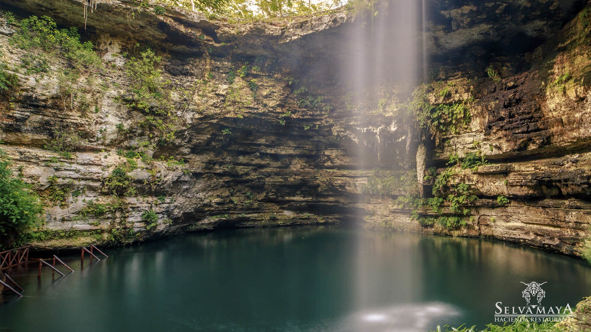 cenote valladolid selva maya