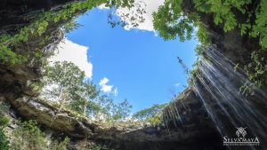 cenote valladolid selva maya